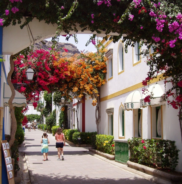 Flowers in Puerto de Mogán